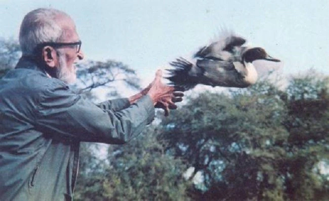 dr salim ali